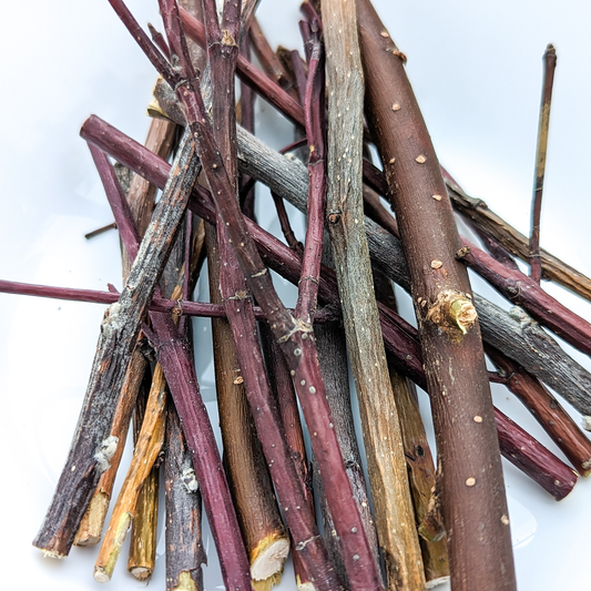 Nibble STICKS Variety Pack - BinkyBunny.com House Rabbit Store