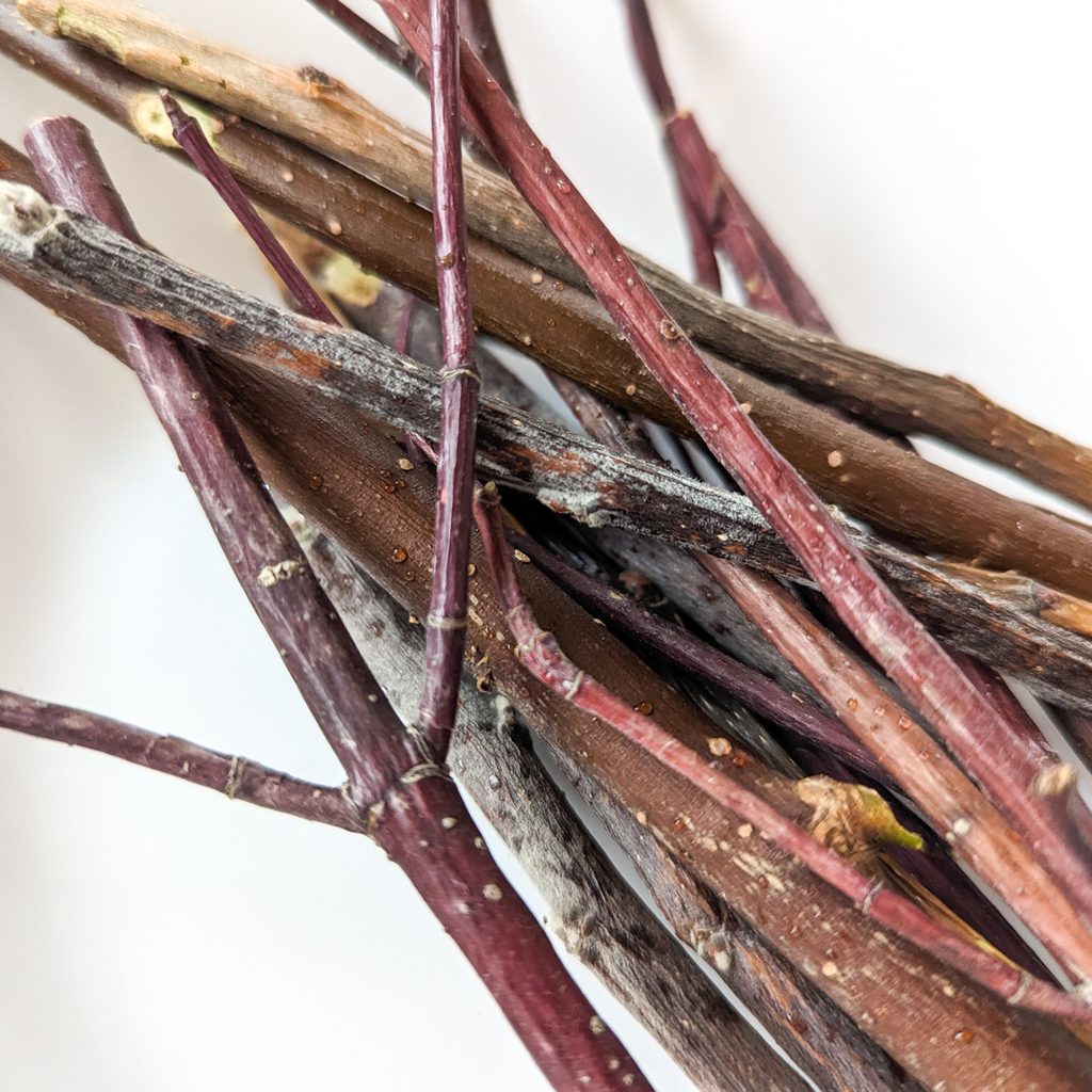 Nibble STICKS Variety Pack – BinkyBunny.com House Rabbit Store