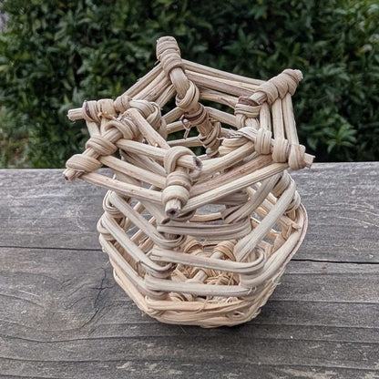 Vine Niblet Forage Pot™ | NEW