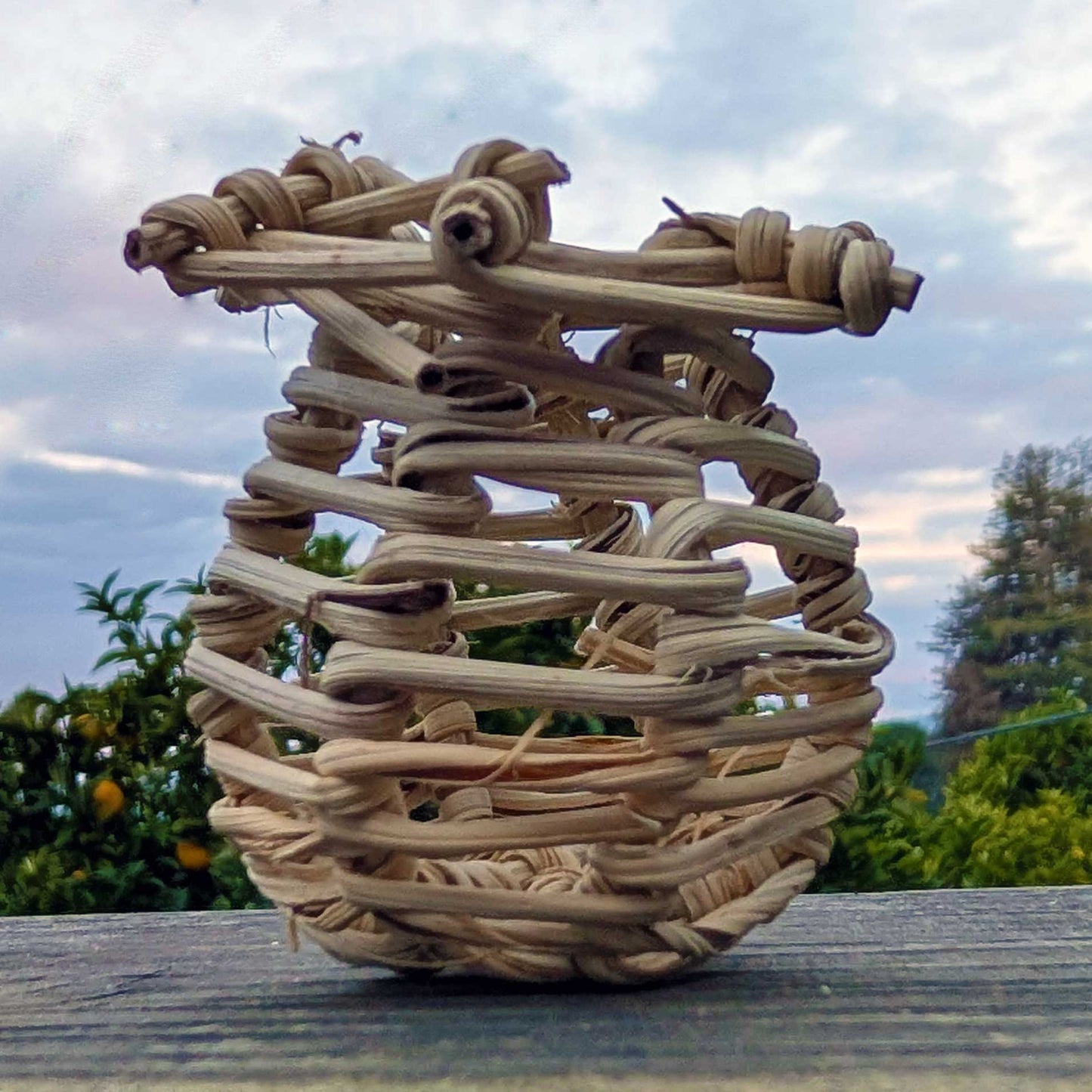 Vine Niblet Forage Pot™ | NEW