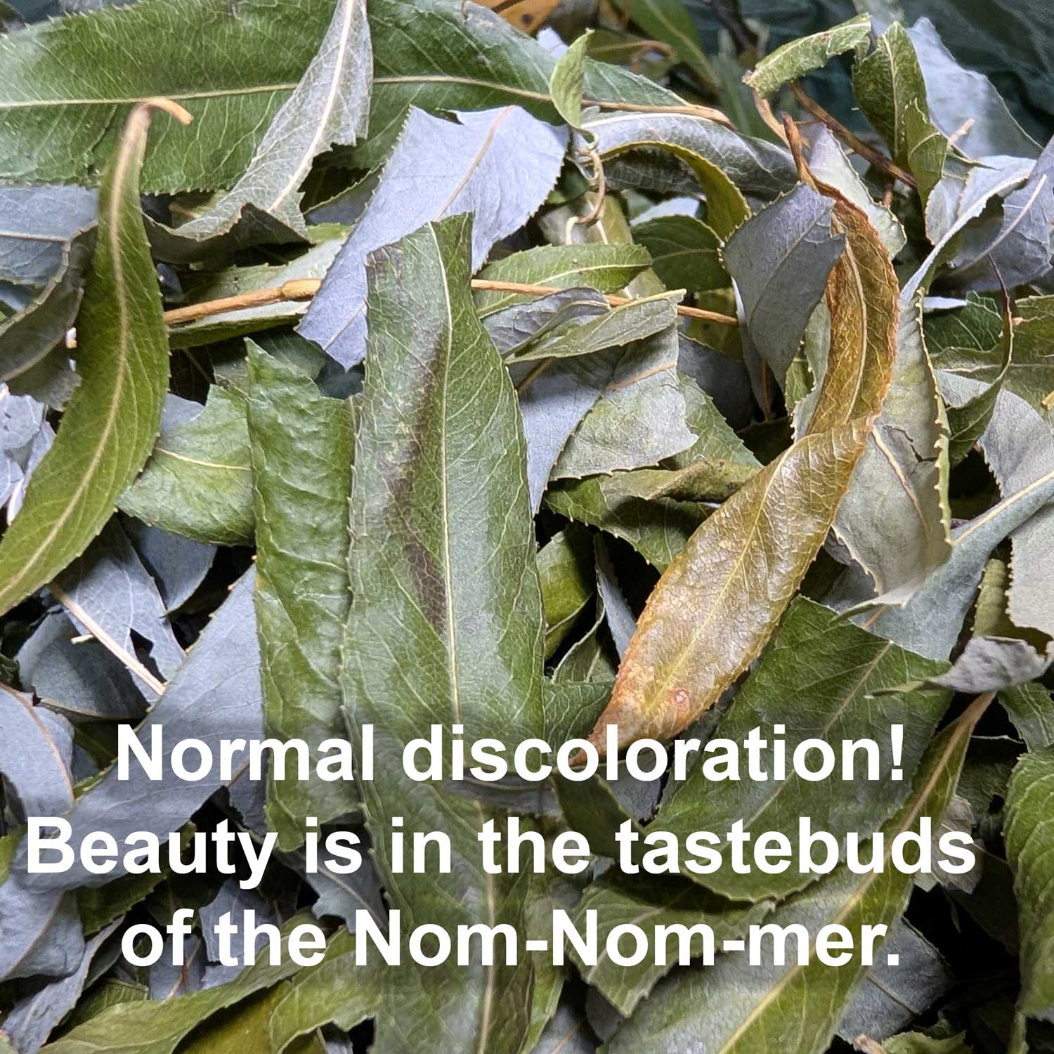 Willow Leaf Sprinkles - BinkyBunny.com House Rabbit Store