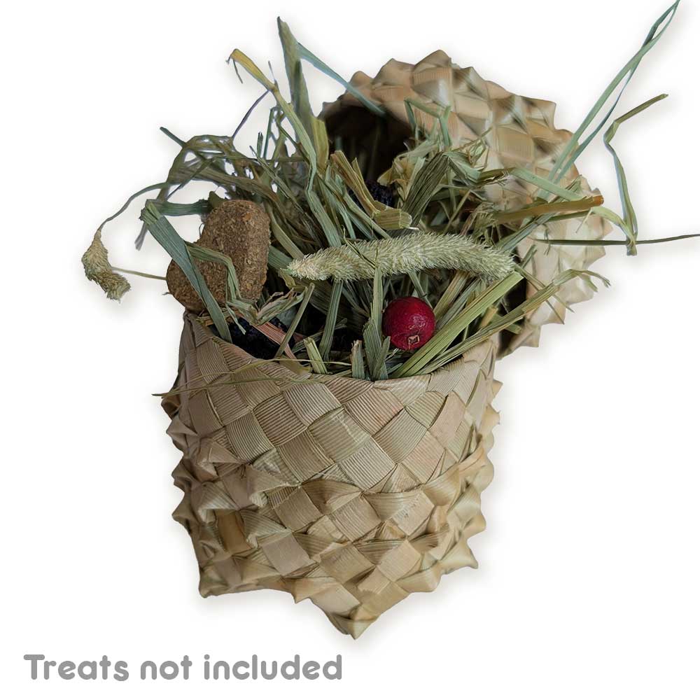 Nubby Palm Box | NEW