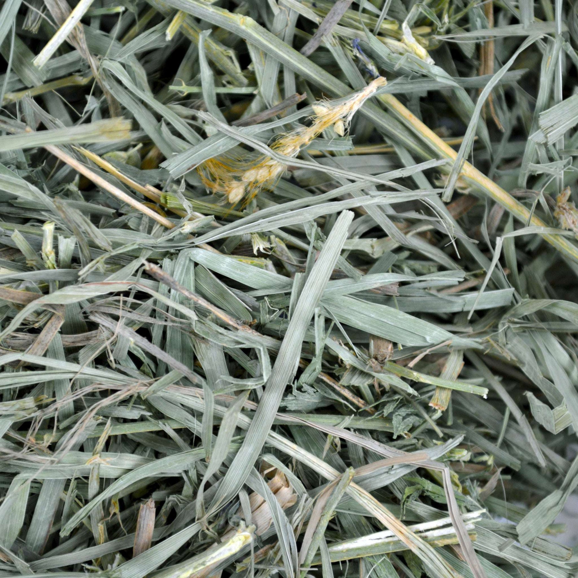 Organic Meadow Hay - 40 oz - BinkyBunny.com House Rabbit Store