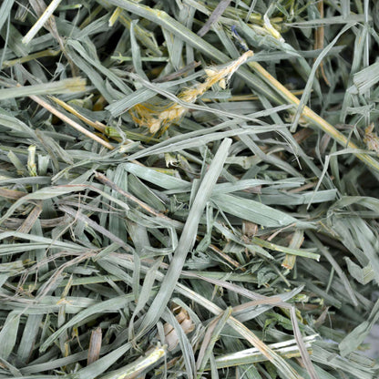 Organic Meadow Hay - 40 oz - BinkyBunny.com House Rabbit Store