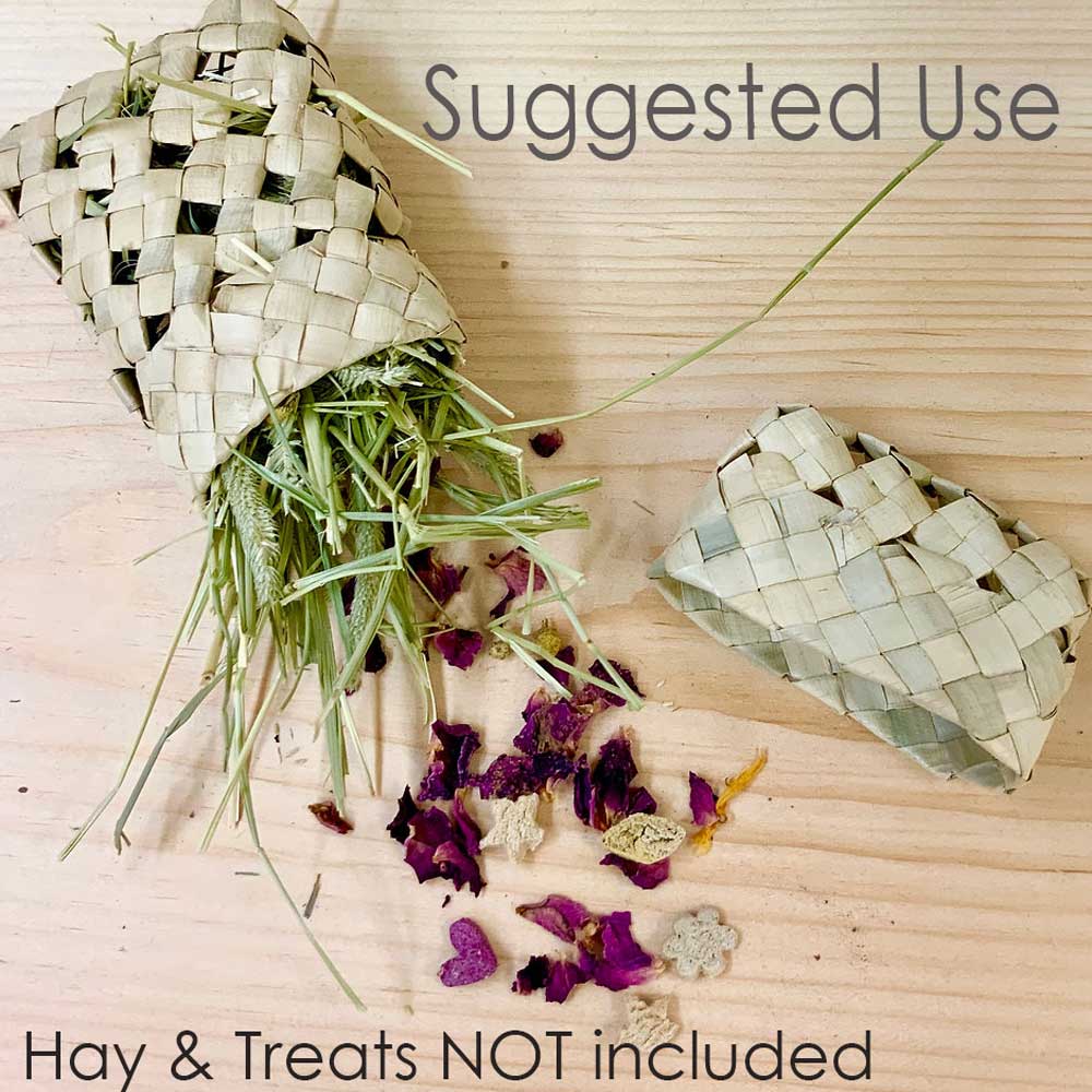 Palm Pocket | NEW โ BinkyBunny.com House Rabbit Store