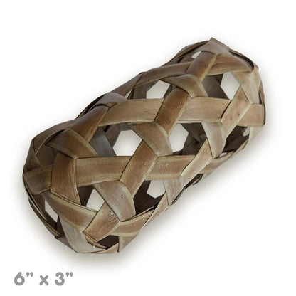 Palm Pod | NEW