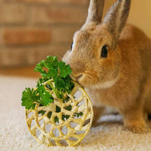 Palm Spiral | NEW - BinkyBunny.com House Rabbit Store