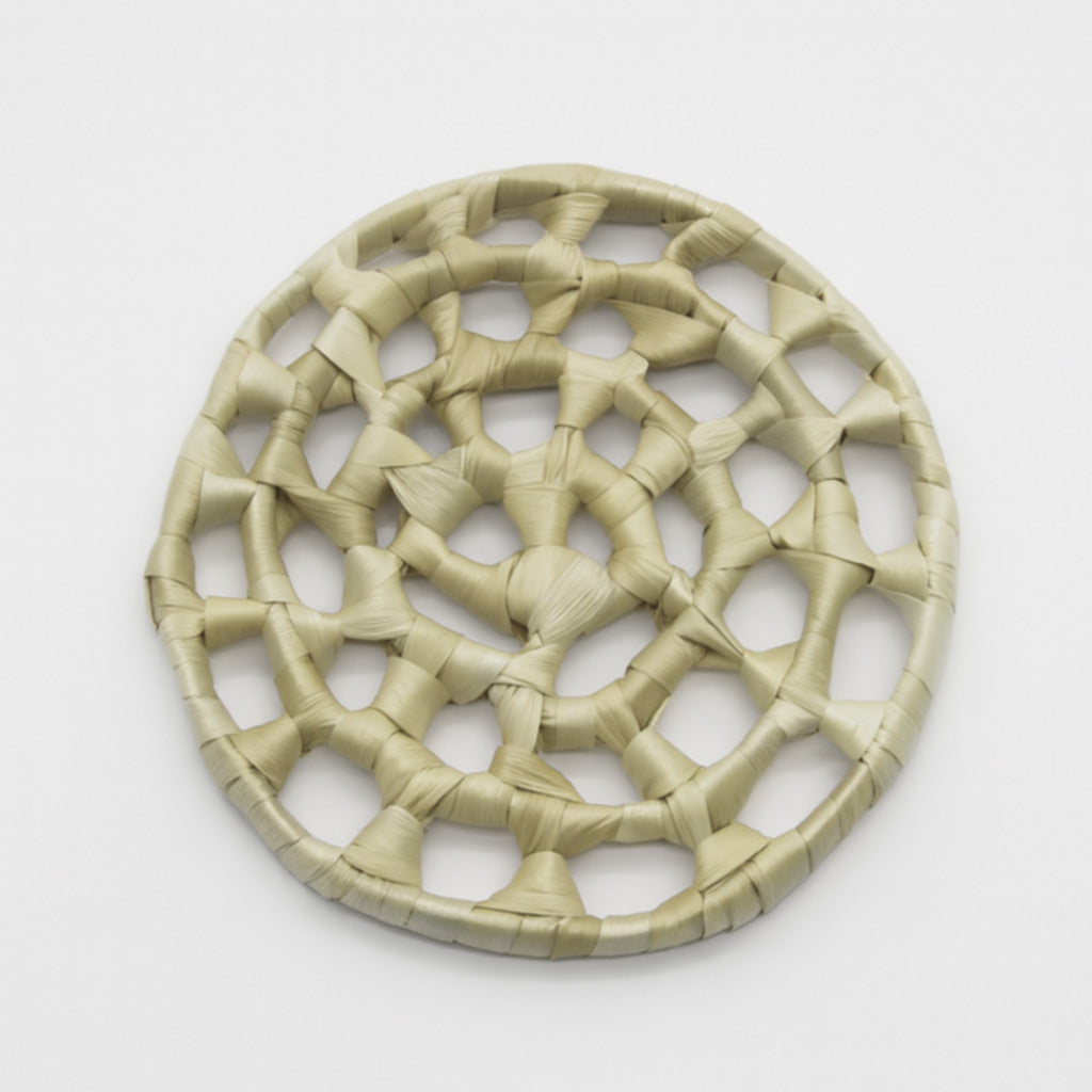 Palm Spiral | NEW