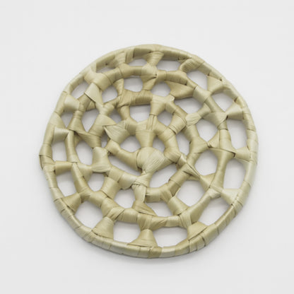 Palm Spiral | NEW
