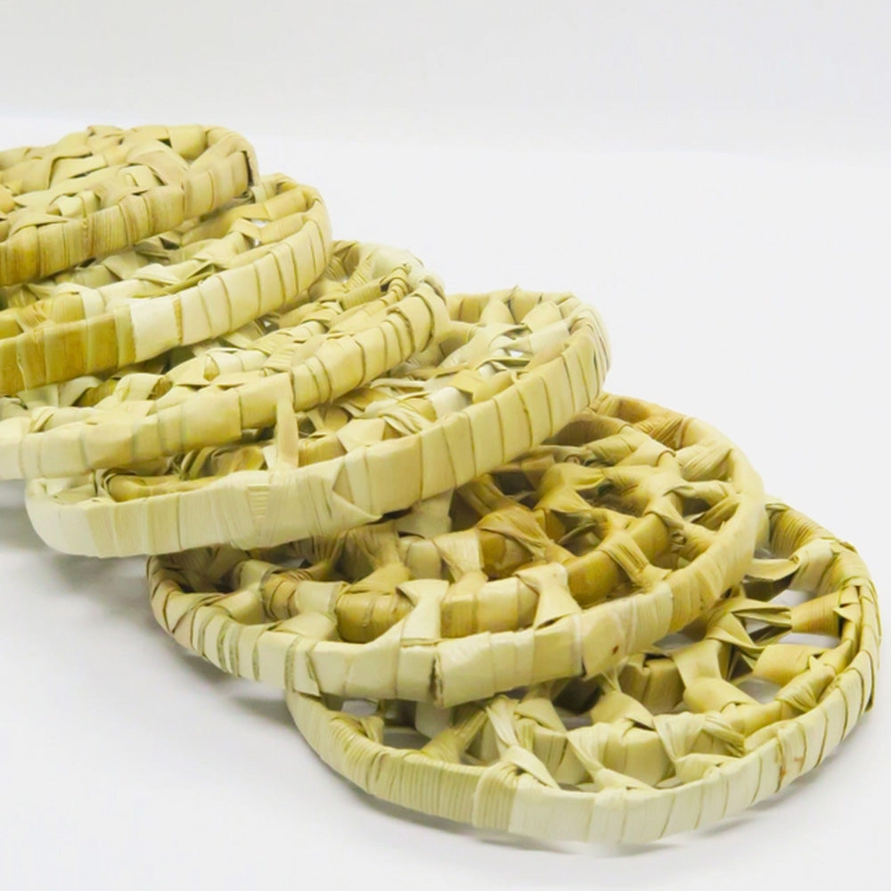 Palm Spiral | NEW