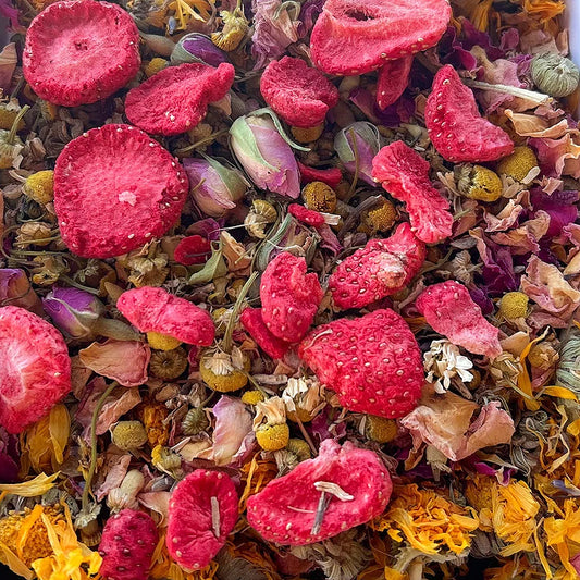 Pretty In Pink Botanical Garden - BinkyBunny.com House Rabbit Store