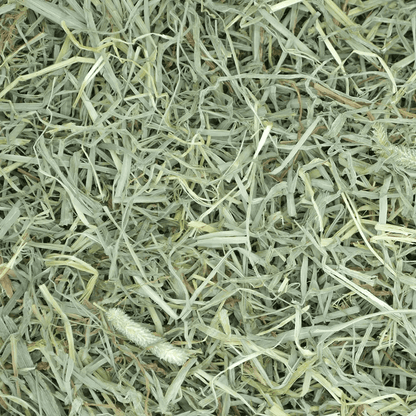 Soft & Lush Prime Cut Timothy Hay - 40z (Oxbow) | NEW - BinkyBunny.com House Rabbit Store