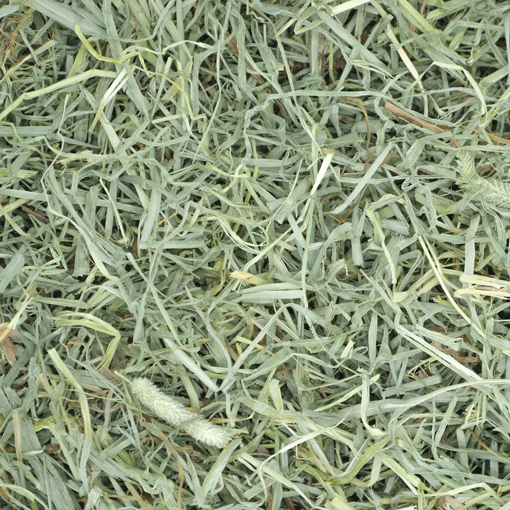 Soft & Lush Prime Cut Timothy Hay - 40z (Oxbow) | NEW - BinkyBunny.com House Rabbit Store