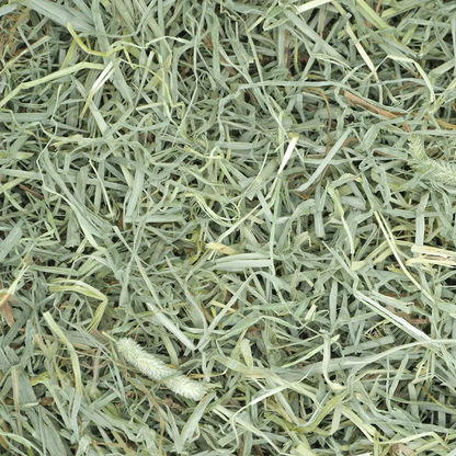 Soft & Lush Prime Cut Timothy Hay - 40z (Oxbow) | NEW - BinkyBunny.com House Rabbit Store