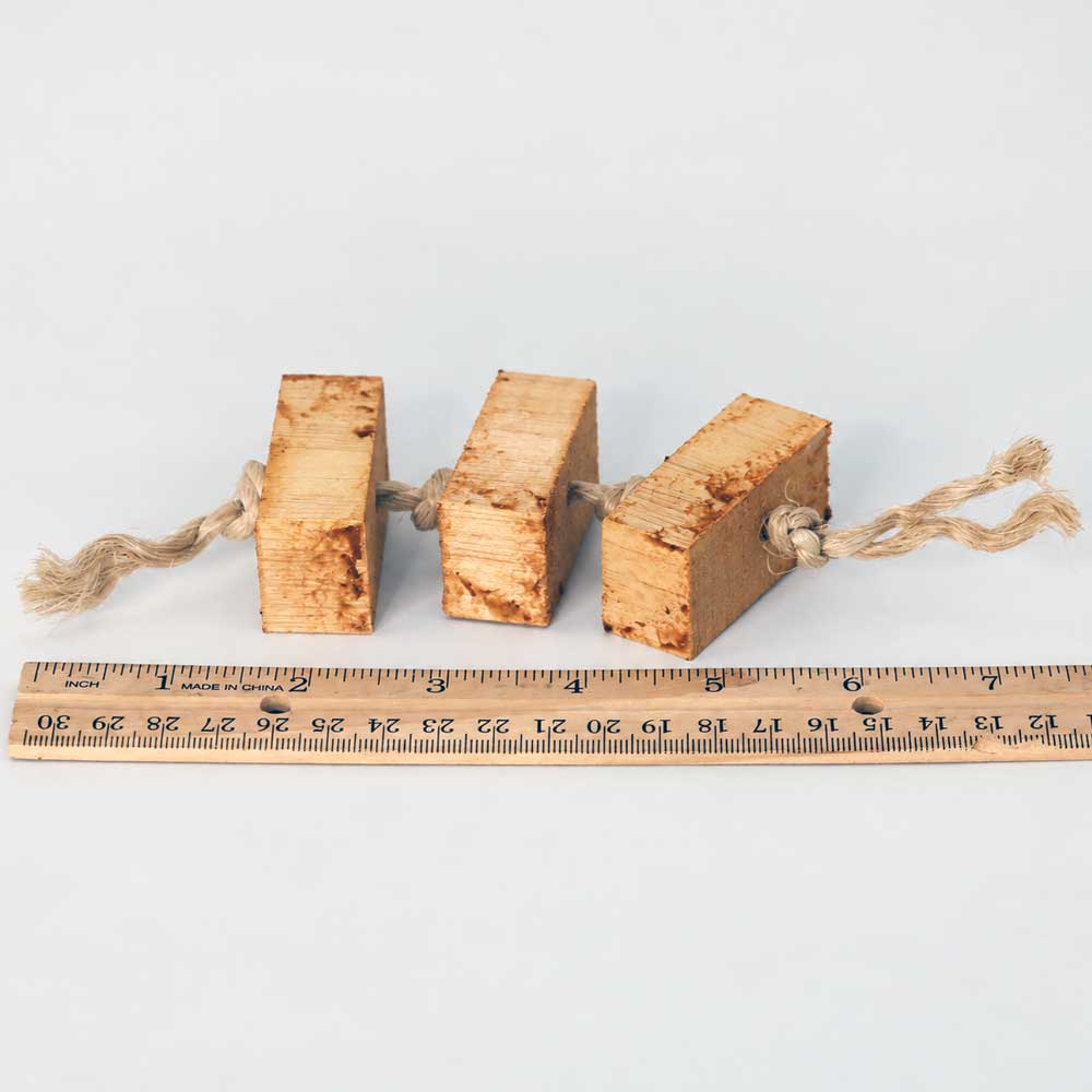 Pumpkin Balsa Fling |  Seasonal