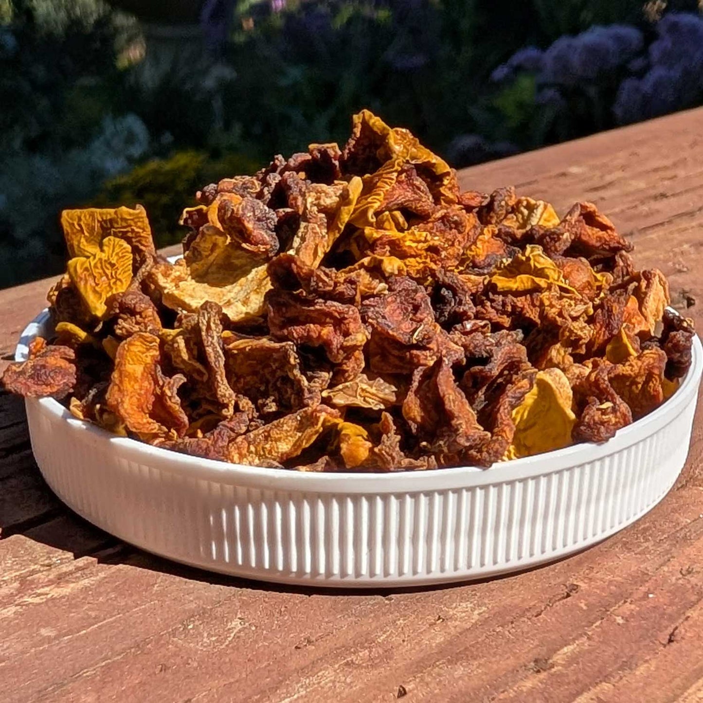 Pumpkin BITS (Organic) | NEW