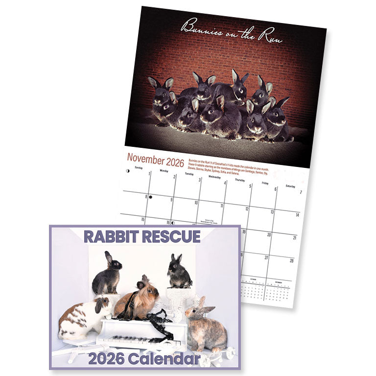 2026 Rabbit Rescue Calendar | SALE! The perfect gift at a discount ...