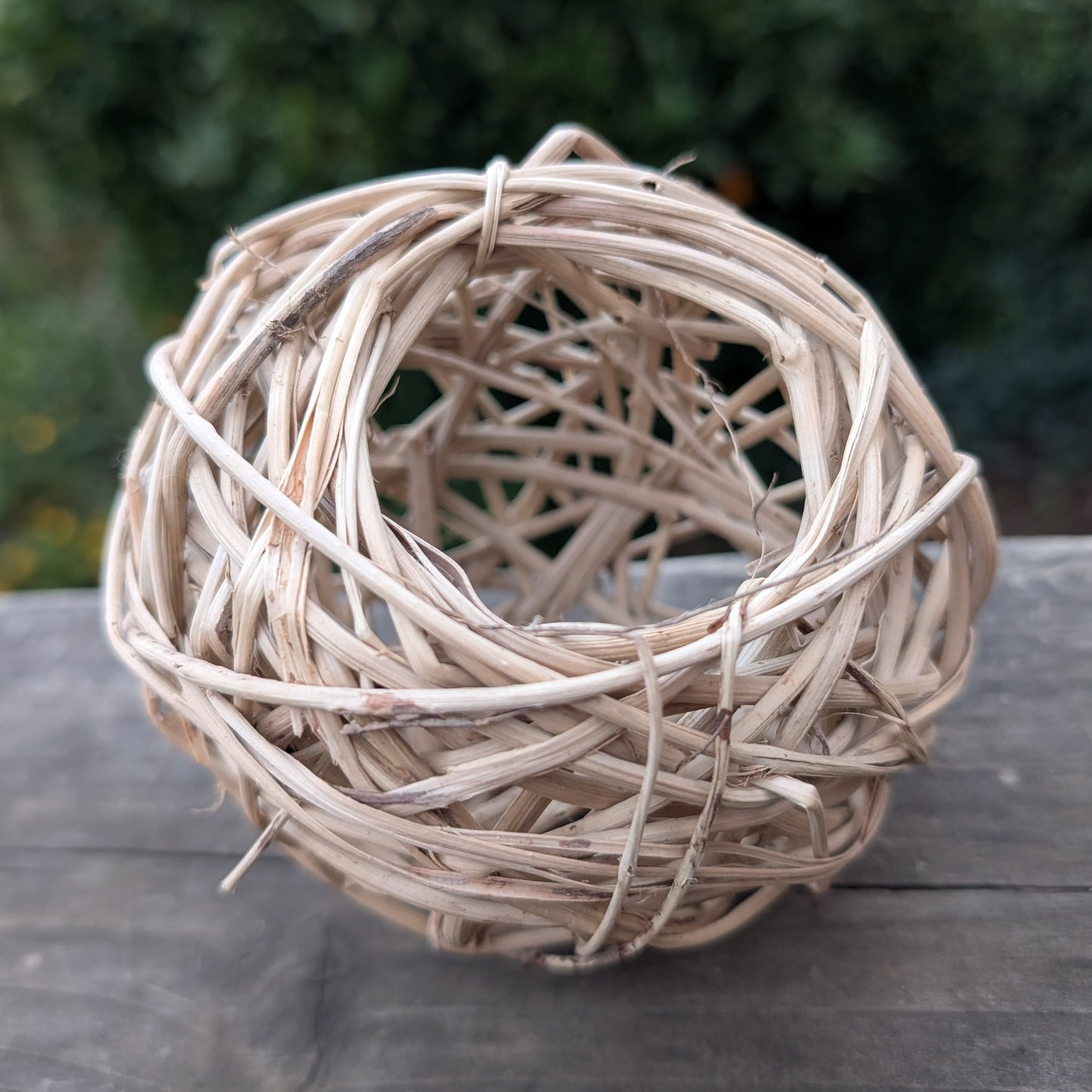 Forage & Fun Variety Pack - BinkyBunny.com House Rabbit Store