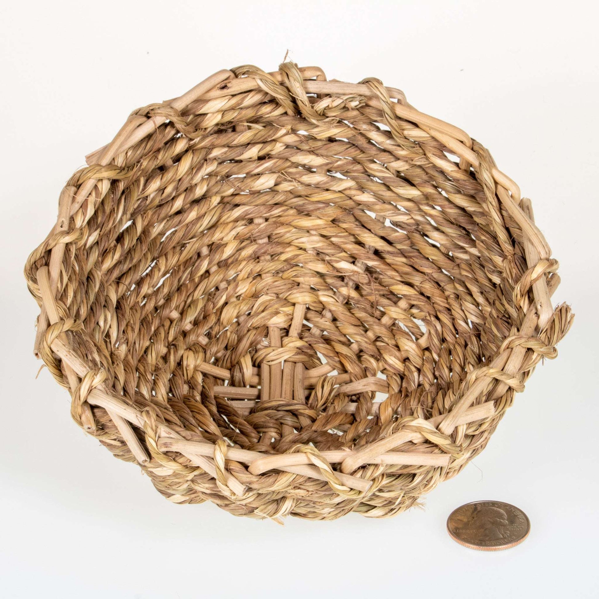 Sea Grass Bowl LARGE [6"] - BinkyBunny.com House Rabbit Store