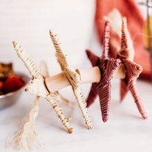 Shooting Stars | New - BinkyBunny.com House Rabbit Store