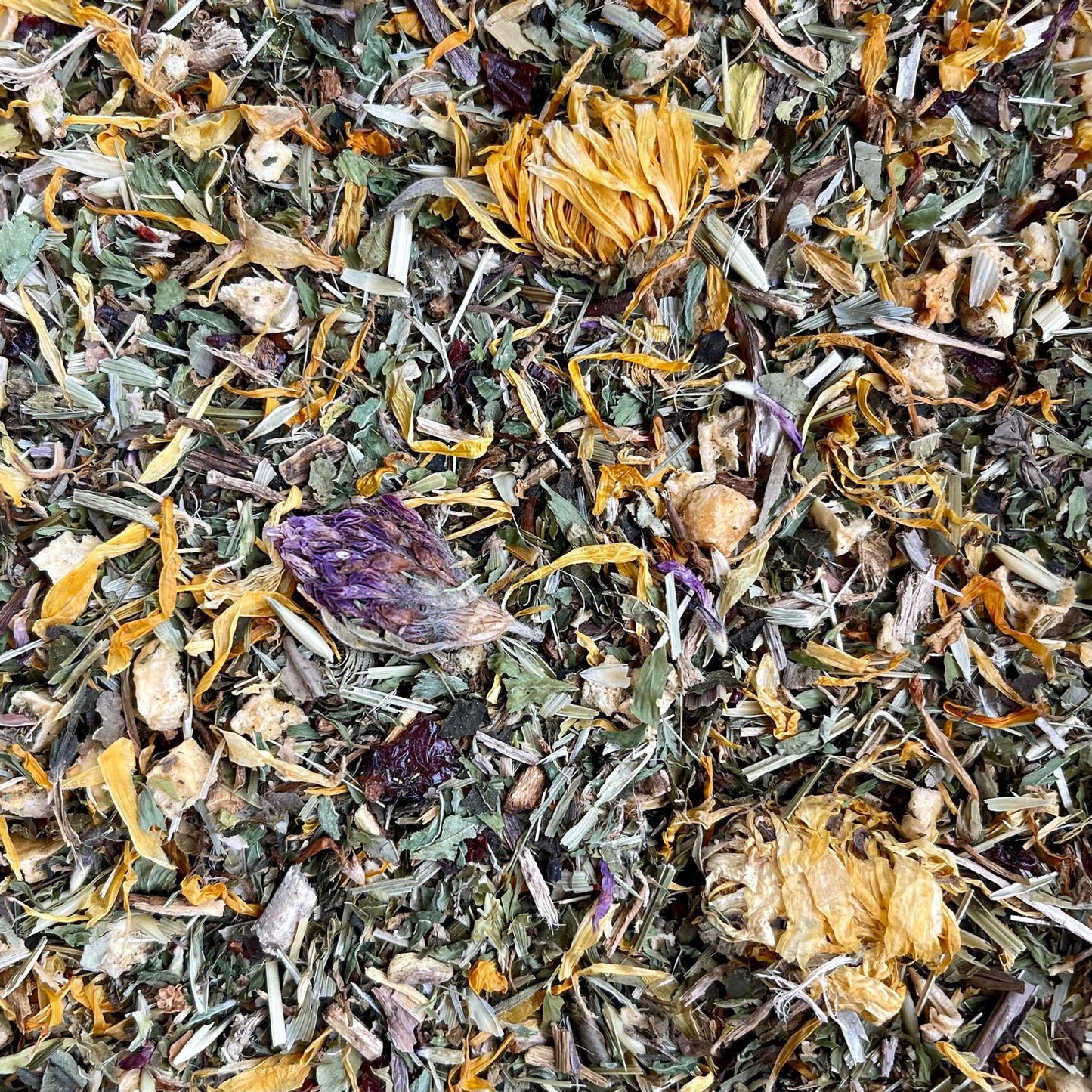 Skin and Molt FORAGE | NEW - BinkyBunny.com House Rabbit Store