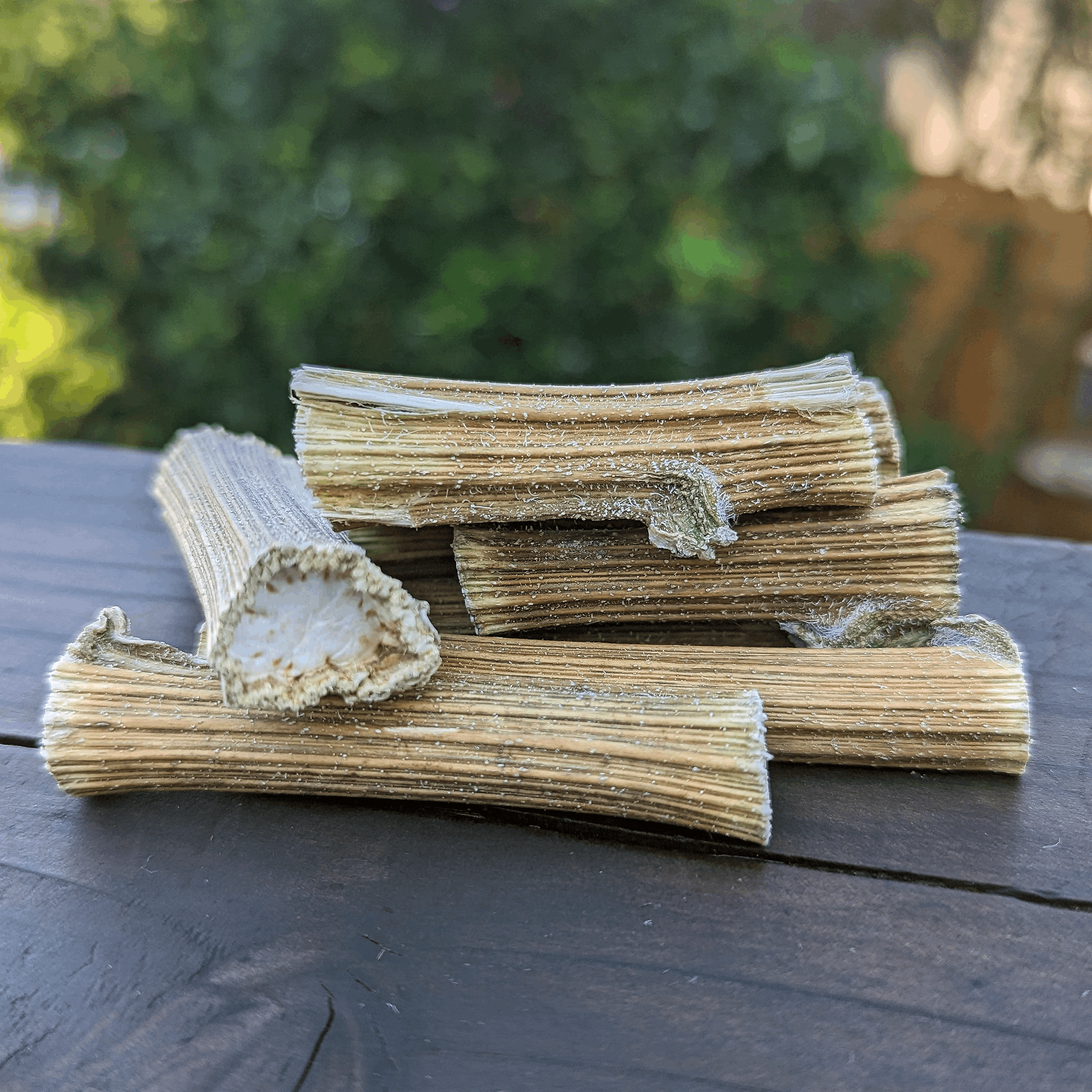 Sunflower Mini Logs | Now Larger Pieces – BinkyBunny.com House Rabbit Store