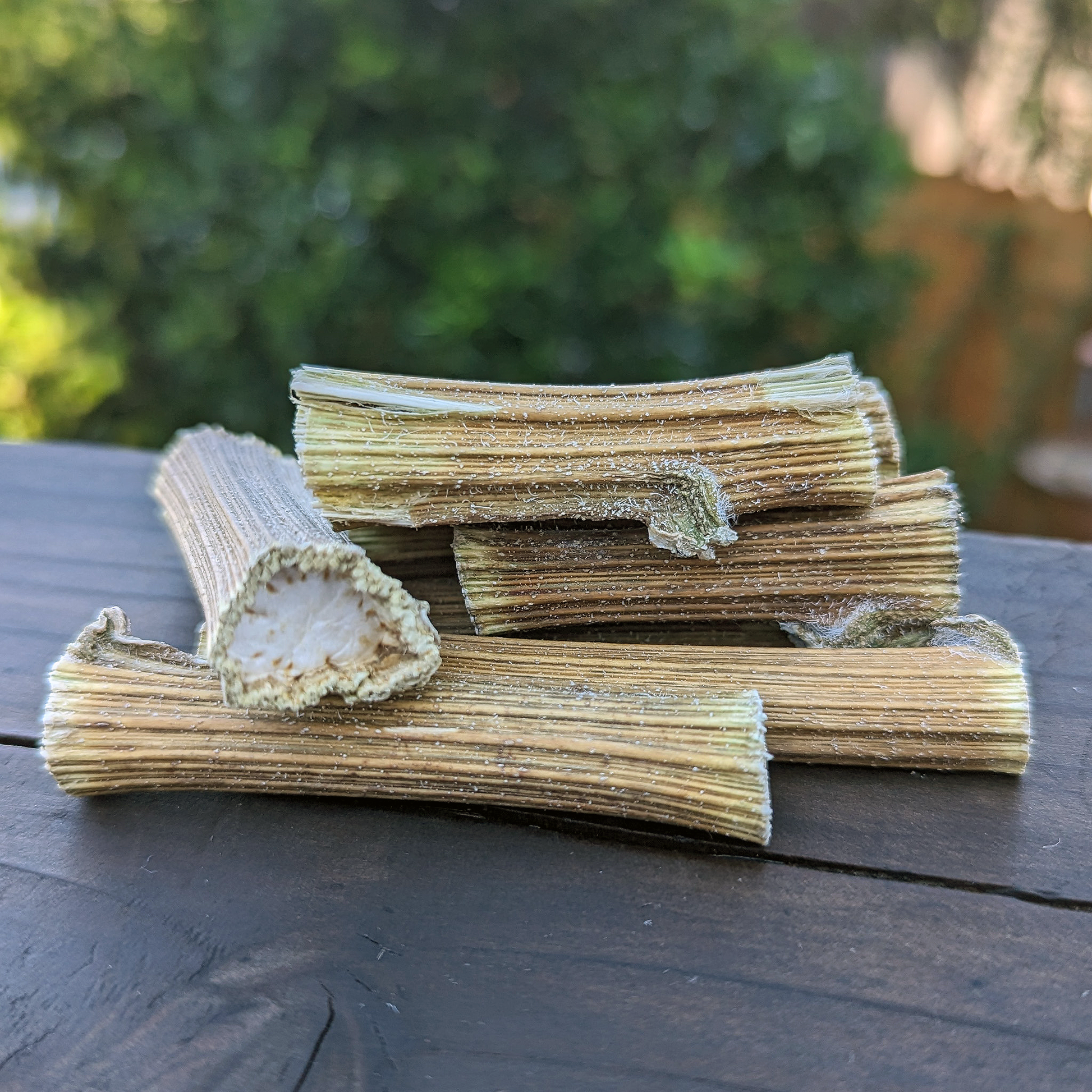 Sunflower Mini Logs (NEW) - BinkyBunny.com House Rabbit Store