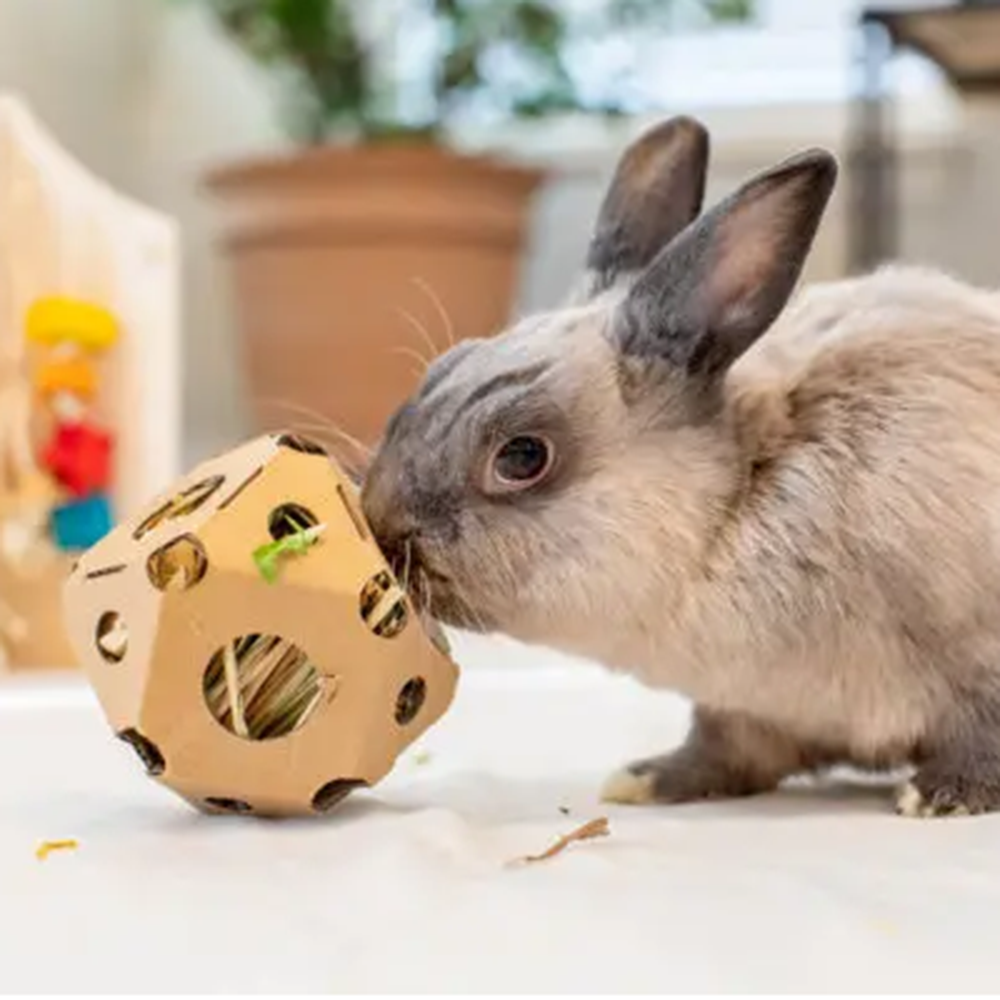 Tumble n Toss (Enriched Life by Oxbow)  NEW - BinkyBunny.com House Rabbit Store
