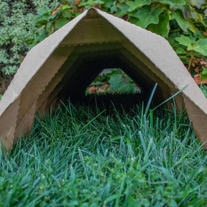TUNNEL HAVEN - 10 PACK - BinkyBunny.com House Rabbit Store