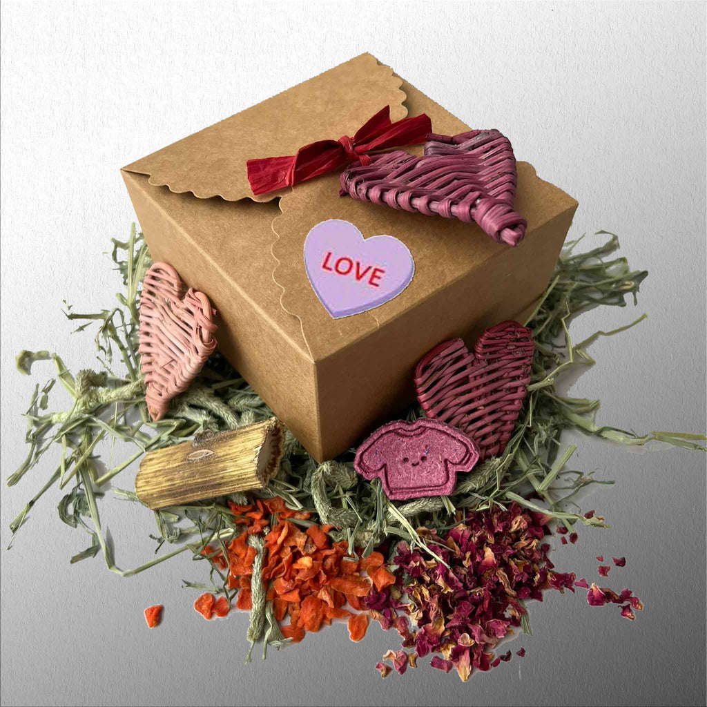 Valentine Gift Box | NEW (Seasonal) - BinkyBunny.com House Rabbit Store