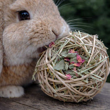 Vine Nom Nest™ | NEW