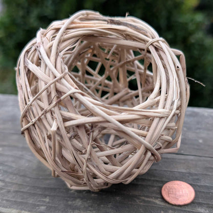 Vine Nom Nest™ | NEW