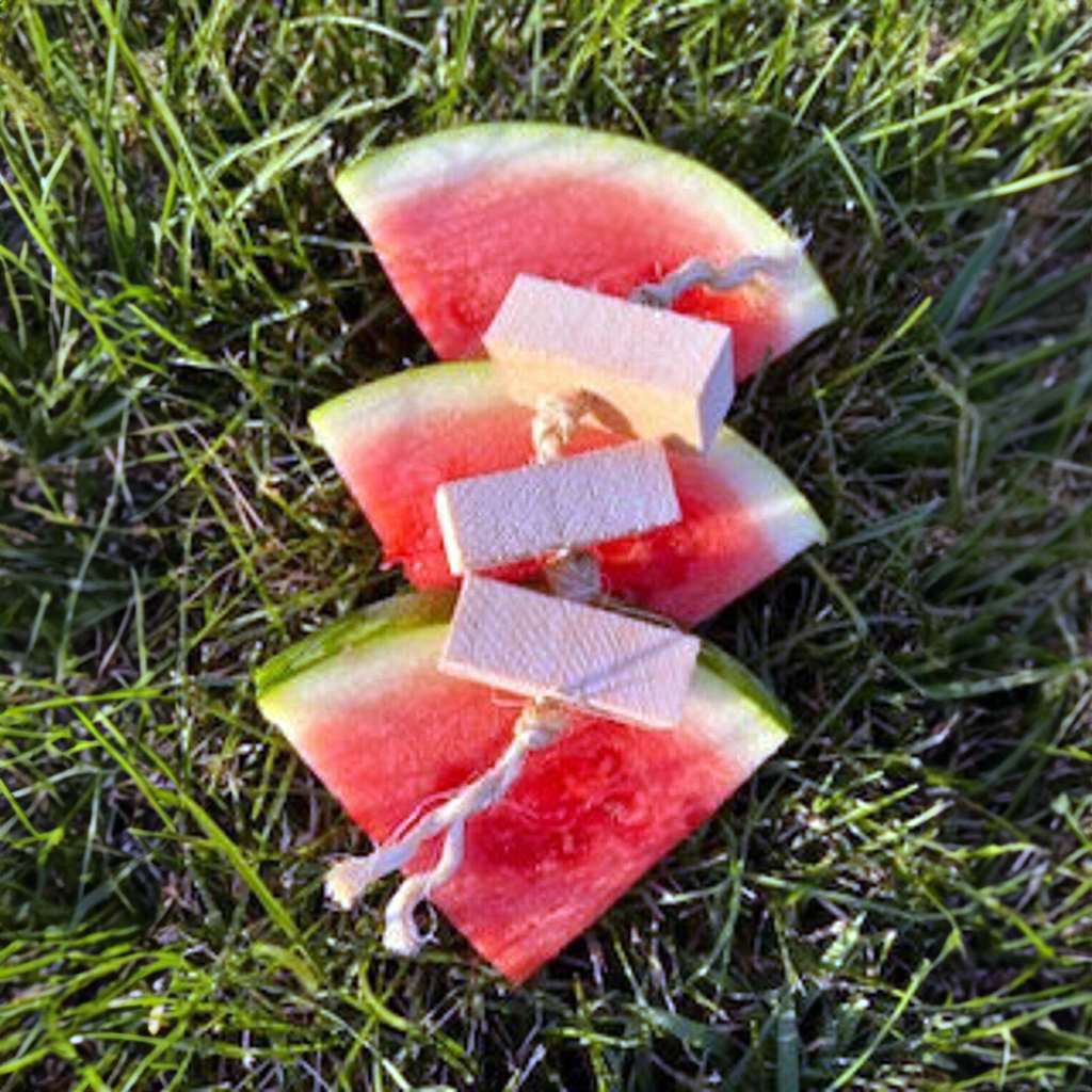Watermelon Fling (NEW Seasonal) - BinkyBunny.com House Rabbit Store