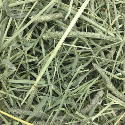 Western Timothy Hay - 40 oz - BinkyBunny.com House Rabbit Store