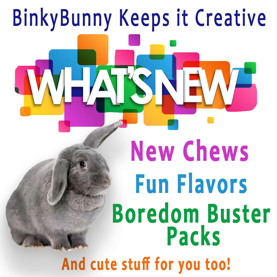 Fruity Balsa BLOCK TRIO – BinkyBunny.com House Rabbit Store