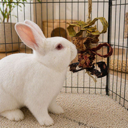 Whirligig Fling-Fruit-Flavored Palm Leaf Chew Toy - BinkyBunny.com House Rabbit Store