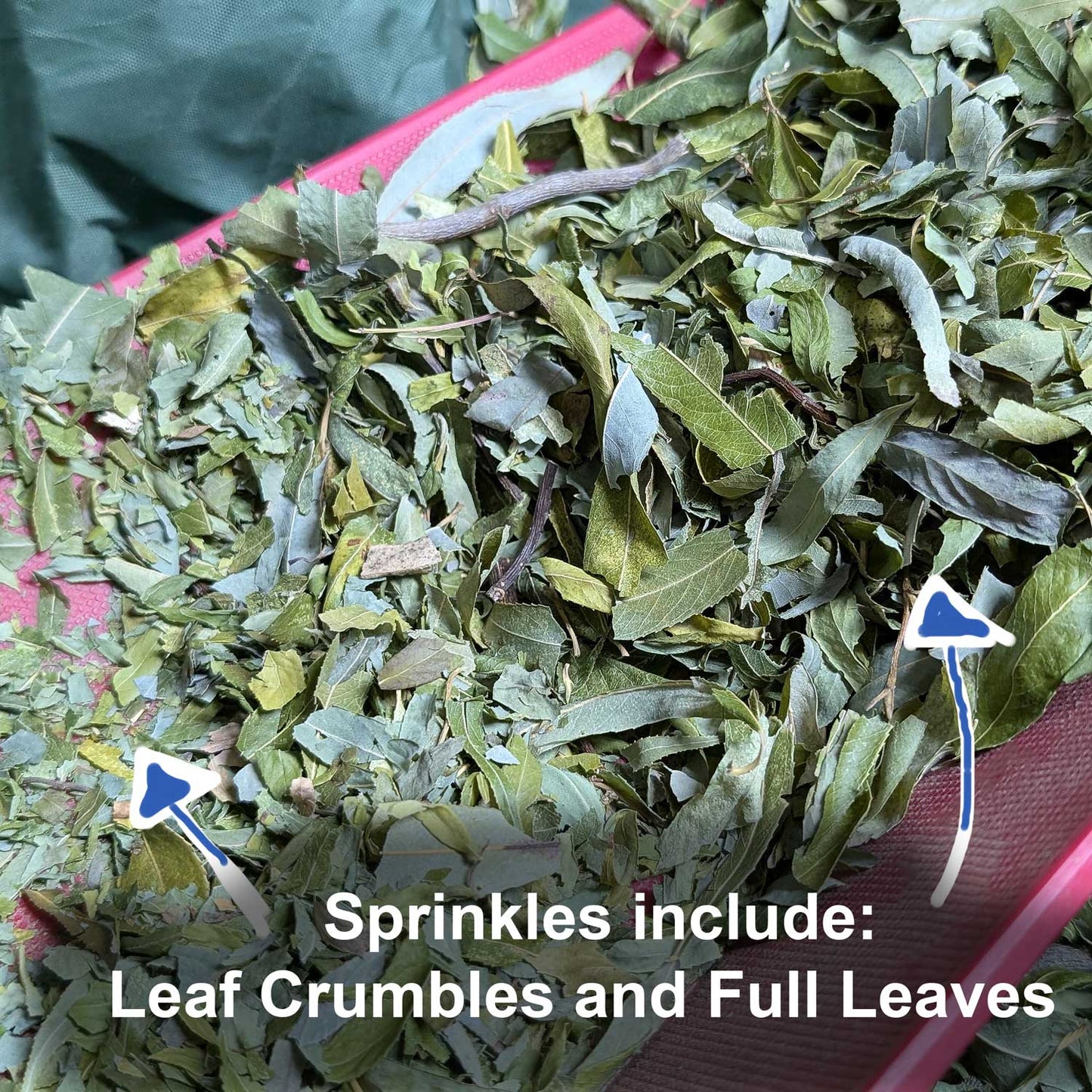 Willow Leaf Sprinkles - BinkyBunny.com House Rabbit Store