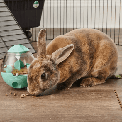 Wobble Teaser - NEW  (Enriched Life by Oxbow) - BinkyBunny.com House Rabbit Store
