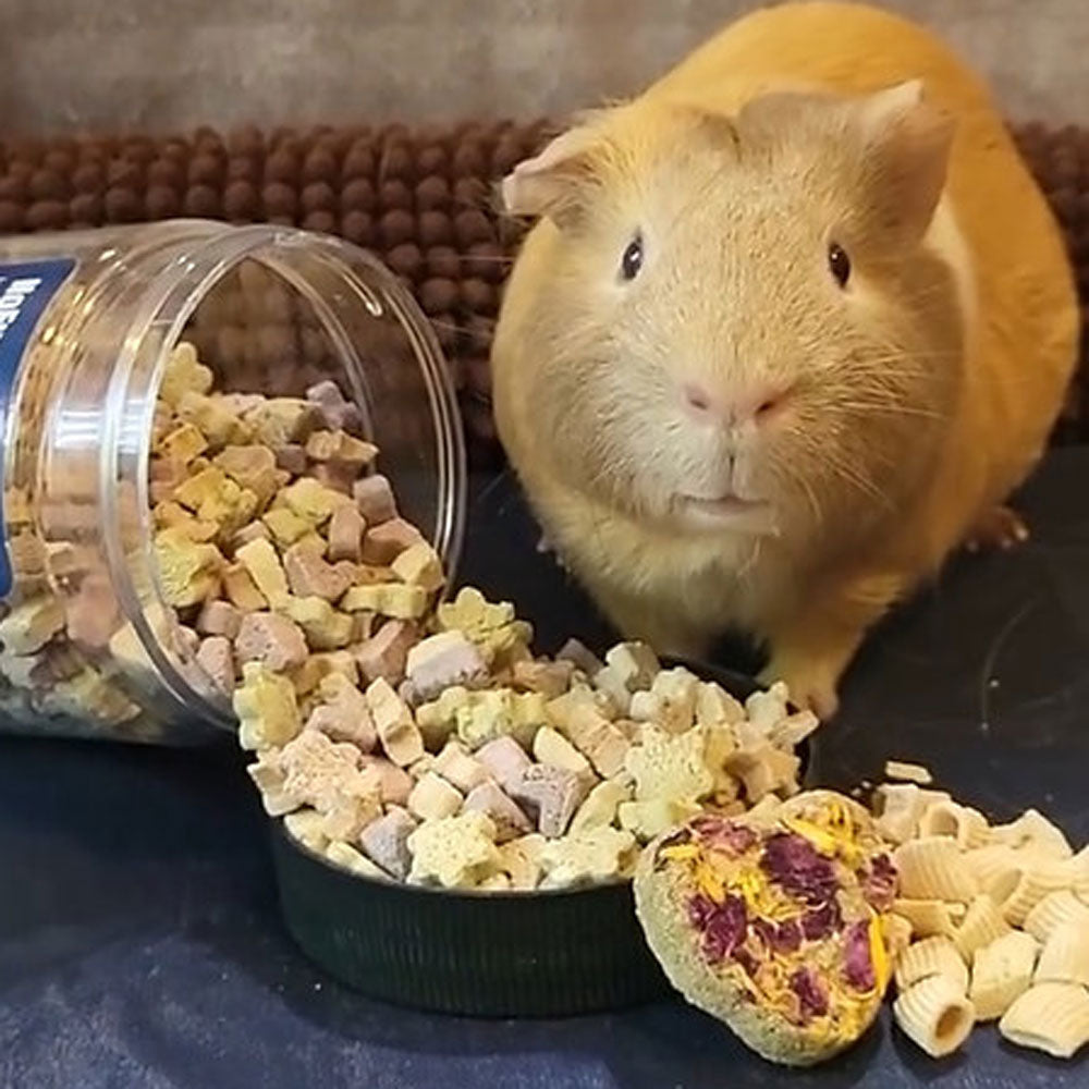Nature's Bites Crunchy Fruit & Vegetables Treats | NEW