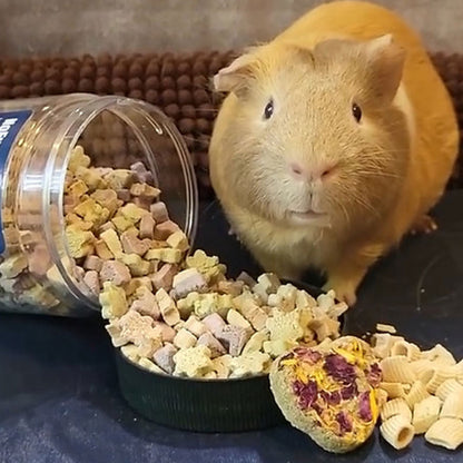 Nature's Bites Crunchy Fruit & Vegetables Treats | NEW