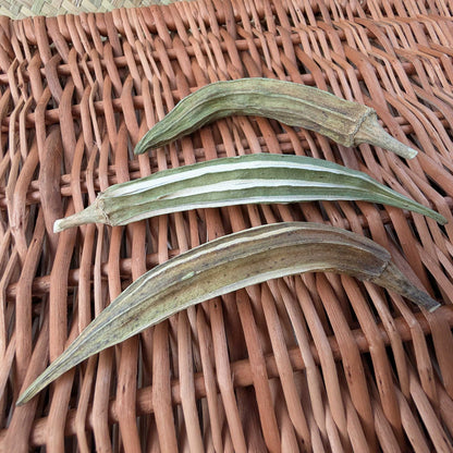 Okra Pods | NEW