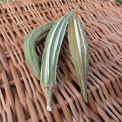Okra Pods | NEW