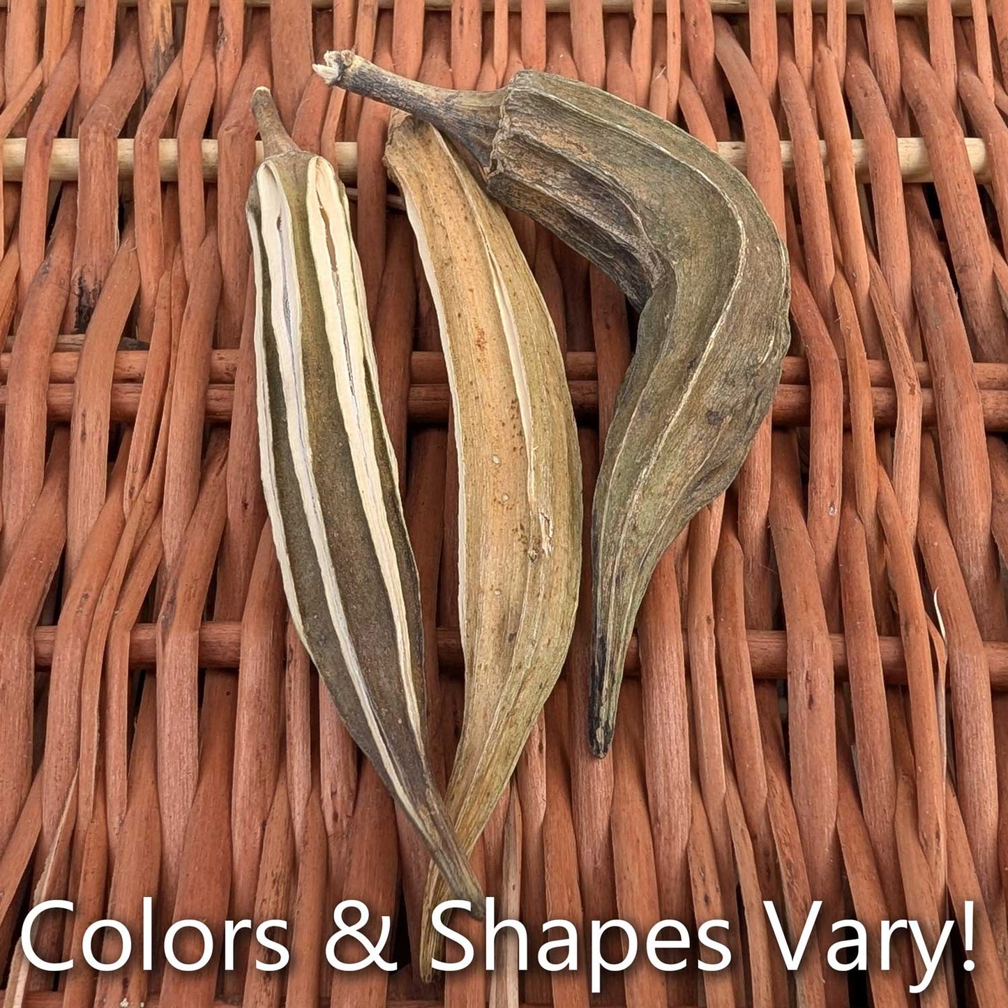 Okra Pods | NEW