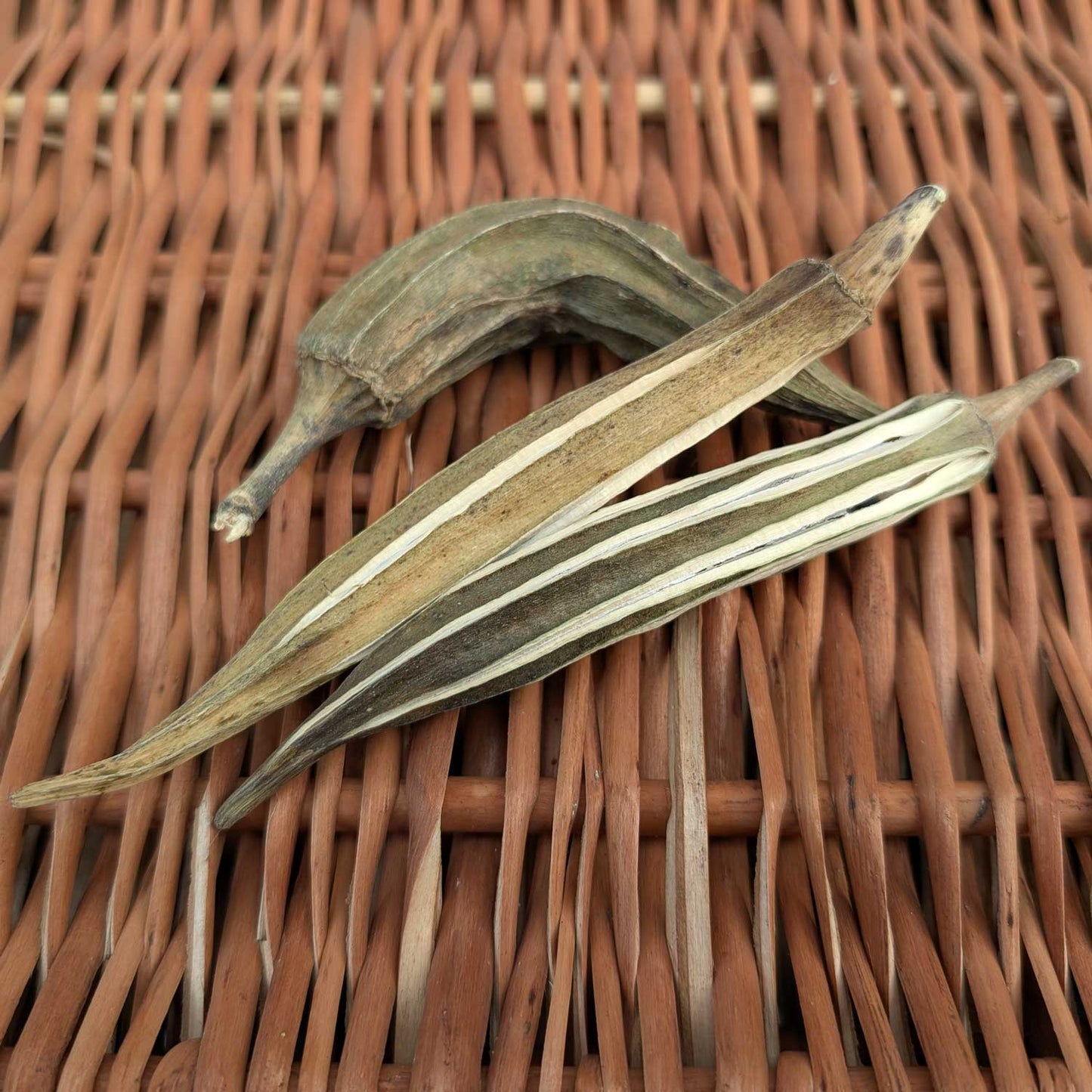 Okra Pods | NEW