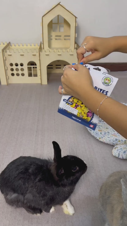 Nature's Bites Crunchy Fruit & Vegetables Treats | NEW