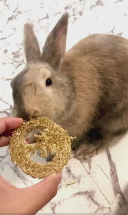 Flavored Lil' Loofah Variety Pack (5) | NEW