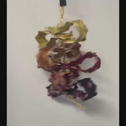 Whirligig Fruit-Flavored Toy
