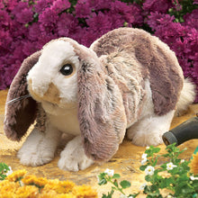 Puppet & Surrogate - Baby Lop - BinkyBunny.com House Rabbit Store