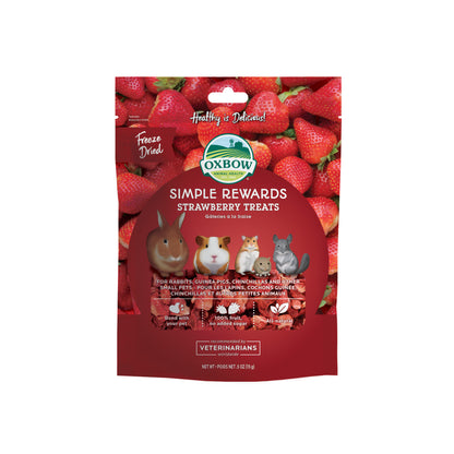 Simple Rewards Strawberry Treats - BinkyBunny.com House Rabbit Store