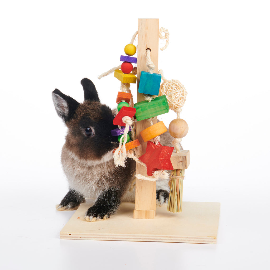 Play Post (Enriched Life) - BinkyBunny.com House Rabbit Store